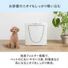 TWINBIRD ツインバード マイナスイオン発生空気清浄機 AC-D358PW