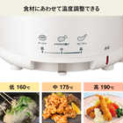 TWINBIRD ツインバード フライヤー 電気フライヤー コンパクト EP-4694PW