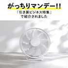 TWINBIRD ツインバード サーキュレーター KJ-D783W