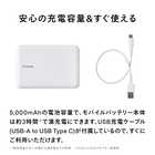 TWINBIRD ツインバード モバイルバッテリー(5,000mAh)
