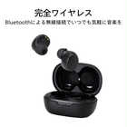 TWINBIRD ツインバード Bluetooth ワイヤレスイヤホン AV-9344B