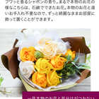 ソープフラワー スタンドキュート シャボンブーケ9輪