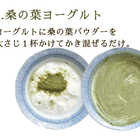 桑の葉茶 粉末 パウダー 有機栽培 粉末茶100g