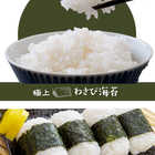 味付け海苔 わさび海苔 1パック 有明産