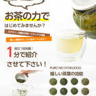 プレミアム 特選ほうじ茶 茶葉 特撰 八女茶 80g×2