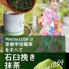グリーンティー 抹茶 京都宇治 モンドセレクション金賞受賞 濃厚甘抹茶粉末 抹茶パウダー200g×2パック