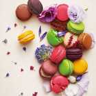 季節のマカロン入り詰め合わせ(20個入)