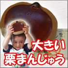 栗林のくり 大栗 1個