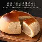 栗林のくり 大栗 1個