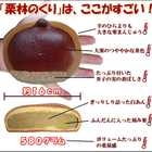 栗林のくり 大栗 1個