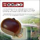 栗林のくり 黄金の大栗 1個