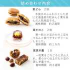 栗いっぱい 詰め合せ 栗三昧 栗菓子 6品 大 17個入