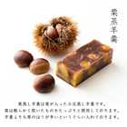 栗いっぱい 詰め合せ 栗三昧 栗菓子 6品 大 17個入