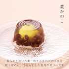 栗いっぱい 詰め合せ 栗三昧 栗菓子 6品 大 17個入