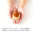 栗林のくり 上栗 と 栗納豆 詰め合わせ