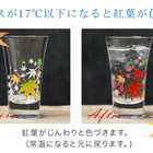 冷感紅葉 天開グラスペアセット　丸モ高木陶器 