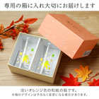 冷感紅葉 天開グラスペアセット　丸モ高木陶器 