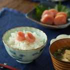 みなとの人気4種セット【320ｇ】