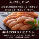 みなとの人気4種セット【320ｇ】