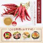 無添加 体にやさしい だし塩（袋）