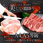 A4,A5等級 特選 黒毛和牛 カルビ焼肉 250g 凍眠 テクニカン