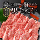 A4,A5等級 特選 黒毛和牛 カルビ焼肉 250g 凍眠 テクニカン