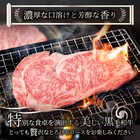 A4.A5等級 黒毛和牛ロースステーキ180g×2枚 凍眠 テクニカン