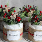 【クリスマス限定】オーガニックおむつケーキ