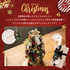 【送料無料】【名入れ】クリスマススペシャルセット クリスマスミニツリー