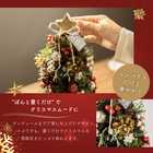 【送料無料】【名入れ】クリスマススペシャルセット クリスマスミニツリー