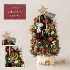 【送料無料】【名入れ】クリスマススペシャルセット クリスマスミニツリー