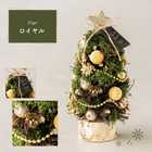 【送料無料】【名入れ】クリスマススペシャルセット クリスマスミニツリー