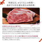 [大和 カタログギフト]  ベストグルメ ~銘柄肉~ MEAT SELECTION  MS21 [カードタイプ]