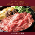 [大和 カタログギフト]  ベストグルメ ~銘柄肉~ MEAT SELECTION  MS21 [カードタイプ]