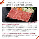 [大和 カタログギフト]  ベストグルメ ~銘柄肉~ MEAT SELECTION  MS31 [カードタイプ]