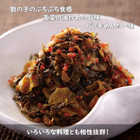 高菜めんたい味 １００ｇ×１０袋セット