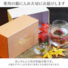 丸モ高木陶器 冷感紅葉 フリーグラスペアセット