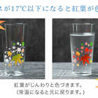 丸モ高木陶器 冷感紅葉 タンブラーペアセット 