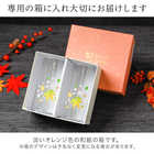 丸モ高木陶器 冷感紅葉 タンブラーペアセット 