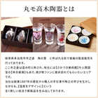 丸モ高木陶器 冷感 日本四季 天開グラス 4個セット