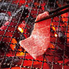 dancyu グルメギフトカタログ e-order choice CA-C [カードタイプ]