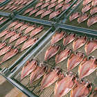 dancyu グルメギフトカタログ e-order choice CC-C [カードタイプ]