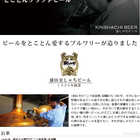贈り物 金しゃちビール6本飲み比べセット（ギフトボックス）MTK-6T 330ml×6本(愛知県)