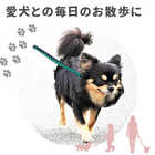 犬用 カラフル リード