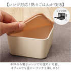 正和 スクエア二段ランチボックス 600ml（日本製）