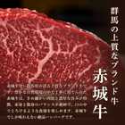 赤城ハンバーグギフト （6個入り）