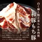 赤城ハンバーグギフト （6個入り）