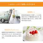 名入れ 夫婦箸 ハナイロ箸置き揃え 桐箱入り ギフトセット