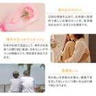 名入れ 夫婦箸 ハナイロ箸置き揃え 桐箱入り ギフトセット