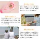 名入れ 夫婦箸 SUNNY サニー箸置き揃え 桐箱入り ギフトセット